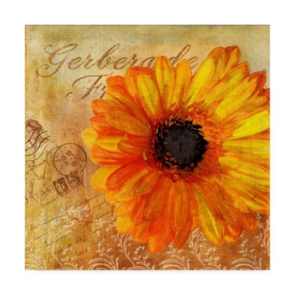 Art Licensing Studio 'Golden Gerbera I' Canvas Art, 24x24, Trademark Fine Art, Mfr#: ALI38565-C2424GG